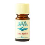 Atlantic Aromatics Organic Carrot Seed Oil 5ml image