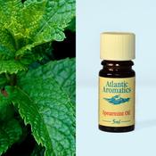 Atlantic Spearmint Oil 5ml image
