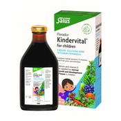 Floradix Kindervital For Children 500ml image