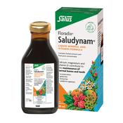 Floradix Saludynam 250ml image