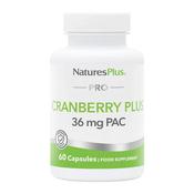 Natures Plus Cranberry Plus 60 Capsules (36MG PAC) image
