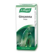 A. Vogel Ginsavena Tincture 50ml image