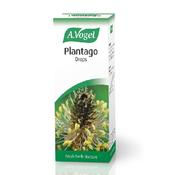 A. Vogel Plantago 50ml