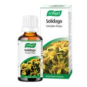 A. Vogel Solidago Complex 50ml