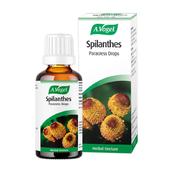 A. Vogel Spilanthes 50ml