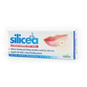 Hubner Silicea Cold Sore Gel 2g