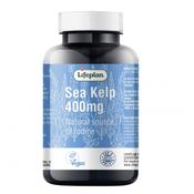 Lifeplan Sea Kelp 400mg 280 Tablets image