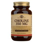 Solgar Choline 350mg 100 Capsules image