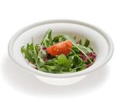 32oz Wide Rim Compostable Bagasse Bowl (500 per Case) | Ireland