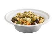 12oz Bagasse Compostable Bowl (1000 per Case) | Ireland