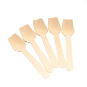 Greenspirit Wooden Ice Cream Spade 95mm | Biodegradable | 1000 Pack | FREE Ireland Delivery