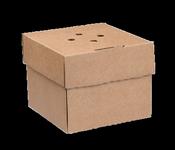 Corrugated Kraft Food Boxes | Compostable Takeaway Boxes Ireland (100/Pack)