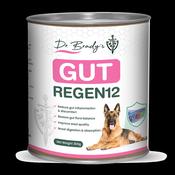Dr Brady's Gut Regen12 - For chronic gut issues in dogs