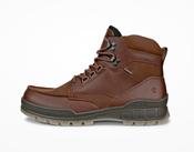 Ecco | Track 25 Leather Gortex Outdoor Boot in Brown Bison | 831704 53010 image
