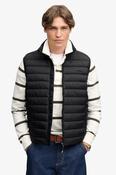 Superdry | Fuji Light Padded Gilet in Black | M5012516A 02a image