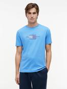 Tommy Hilfiger | Script Flag Tee in Blue Spell | MW0MW43226 c30 image