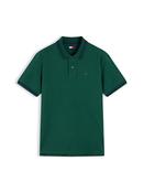 Tommy Jeans | Regular Fit Tipped Polo Shirt in Velvet Green | DM0DM22700 MBM image
