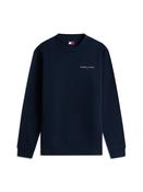 Tommy Jeans | Regular Fit Linear Crew Sweat in Navy | DM0DM20249 C1G