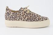 Paul Green | Super Soft Suede Beige Leopard Print Trainers with Elastic Lace | 5317 040