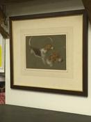 Fox Hounds image