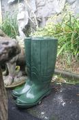 Wellies Green Stone image