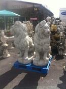 Sitting Lions image