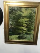 Woodland Scene. J.B Edwards image