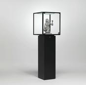 KUBUS KL43-M Showcase - Douglas Displays Limited