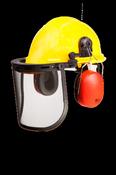 SIP Protection Forestry Helmet image