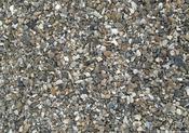 Shingle Friday Freebie