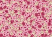Pink Flowers Friday Freebie