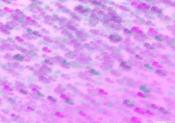 Spray Friday Freebie