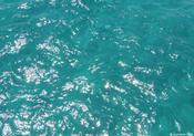 Cool Water Friday Freebie