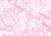 Texture Pink Friday Freebie