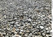 Pebble Beach Friday Freebie