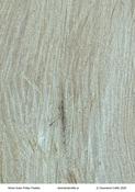 Wood Grain Friday Freebie