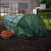 Haxnicks Easy Net Tunnel - D Plant Horticulture