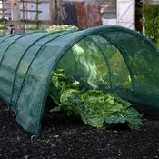 Haxnicks Giant Easy Net Tunnel - D Plant Horticulture