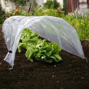 Haxnicks Easy Poly Tunnel - D Plant Horticulture