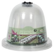 Haxnicks Baby Victorian Bell X3 - D Plant Horticulture