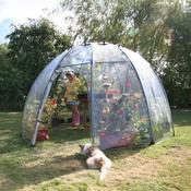 Haxnicks Sunbubble Large - D Plant Horticulture image