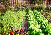 Polythee Sheets - D Plant Horticulture