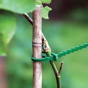 Adjustable Plant Ties - D Plant Horticulture