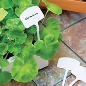 T Labels - D Plant Horticulture image