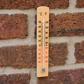 Beech Wall Thermometer - D Plant Horticulture image