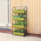 Haxnicks Vigoroot Balcony Garden - D Plant Horticulture