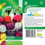 Beetroot - Rainbow Mix - D Plant Horticulture image
