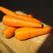 Carrot - Resistafly F1 - D Plant Horticulture image