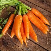 Carrot - St.Valery - D Plant Horticulture image