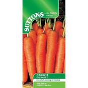 Carrot - Early Nantes 5 - D Plant Horticulture image